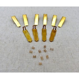 TCR MK2 contact shoes and springs x 10
